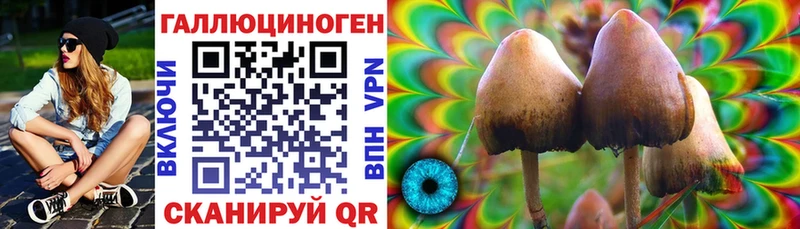Псилоцибиновые грибы ЛСД Большой Камень