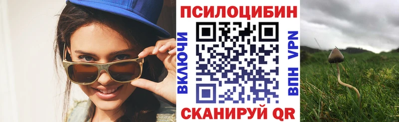 Псилоцибиновые грибы GOLDEN TEACHER  blacksprut ТОР  Большой Камень 