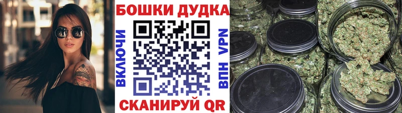 omg сайт  Большой Камень  Конопля OG Kush 